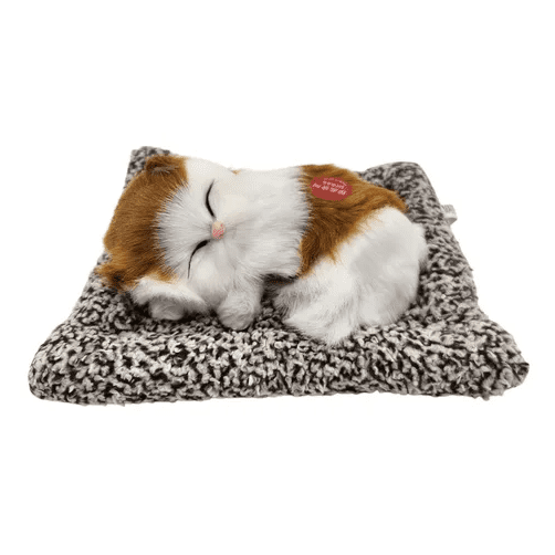 Gatito De Peluche Realista Dormido Con Sonido ( Mauya) Negro
