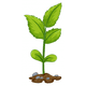 thumbnail image 1 of Prueba Wcp Formato Imágenes Png, 1 of 2
