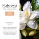 thumbnail image 2 of Perfume Nateea 100 ml Jazmín Nocturno EDP, 2 of 8