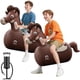 thumbnail image 1 of Caballo Saltarín Inflable QPAU, 1 of 3