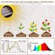 thumbnail image 3 of Bseah Grow Light Plant Lights for Indoor Plants, Full Spectrum, 3 of 3