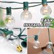 thumbnail image 3 of Bombillas de repuesto Rincentd G40 5 W 120 V Clear Globe (paquete de 25), 3 of 7