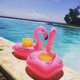 thumbnail image 4 of Soporte inflable para bebidas BoboFly Flamingos para fiesta en la piscina (16), 4 of 5