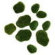 thumbnail image 2 of 10x Rocas De Musgo Artificiales Piedras Cubiertas De Musgo Para Manualidades De Arreglos Florales, 2 of 5