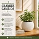 thumbnail image 4 of Macetero Plastico Redondo Tipo Piedra Decorativo Jardin M blanco, 4 of 10
