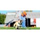 thumbnail image 3 of Pelota de juguete para perros Chuckit Kick Fetch, grande, para padres de mascotas, 3 of 3