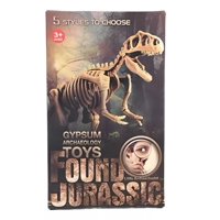 Dym - Jurásico Animal Dinosaurio Esqueleto Fósil Set De 5 Pcs