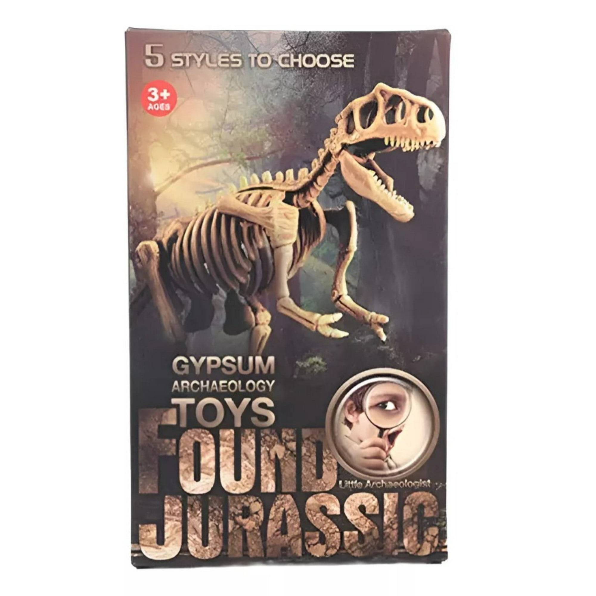 Dym - Jurásico Animal Dinosaurio Esqueleto Fósil Set De 5 Pcs