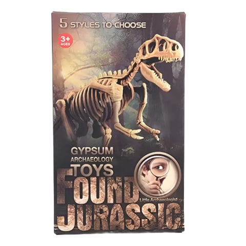 Dym - Jurásico Animal Dinosaurio Esqueleto Fósil Set De 5 Pcs