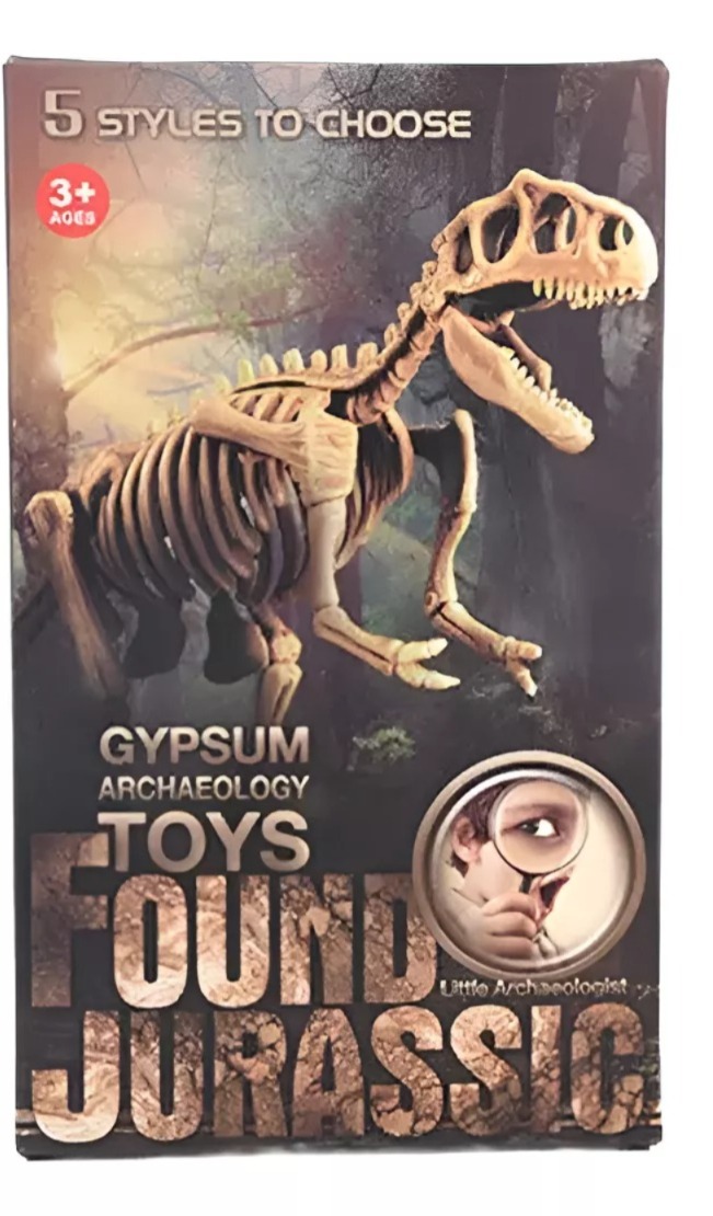 Dym - Jurásico Animal Dinosaurio Esqueleto Fósil Set De 5 Pcs