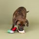 thumbnail image 2 of Juego de juguetes para perros Fringe Plush Tool Time Treats, 3 unidades, 2 of 2