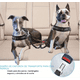 thumbnail image 2 of Correa/cinturón Seguridad Auto Doble Para Perros Ajustable, 2 of 8