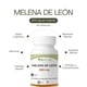 thumbnail image 2 of Pack x2 Melena de Leon 500mg | Memoria y Concentración, 2 of 7