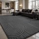 thumbnail image 1 of Alfombra Sour Lemon 274 cm x 366 cm Gris Grande, 1 of 6