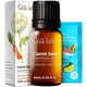 thumbnail image 1 of Aceite Esencial de Semilla de Zanahoria Gya Labs 10 ml Puro, 1 of 6
