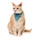 thumbnail image 3 of Pack Fuzzyard Collar Bandana Y Humita Para Gatos 3 En 1 Agua Cat Fashion Packs Talla Única 20-30cm, 3 of 4