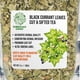 thumbnail image 4 of Té de Hierbas Hojas de Grosella Negra Siberiana Verde 85g, 4 of 7