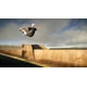 thumbnail image 3 of Skater XL Nintendo Switch Físico rojo, 3 of 4