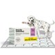 thumbnail image 1 of Empapadores para cachorro Pet Life Unlimited Smart Prints XXL, 32 piezas, 1 of 9