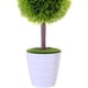 thumbnail image 2 of Planta Decorativa Artificial Moldeada Laurus, 2 of 4