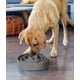 thumbnail image 5 of Dog Bowl Outward Hound Fun Feeder Slo Bowl, alimentador lento, 5 of 5