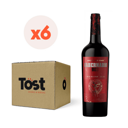 Pack 6X Vino Santa Rita Cabernario Red Blend 13,5° 750Cc