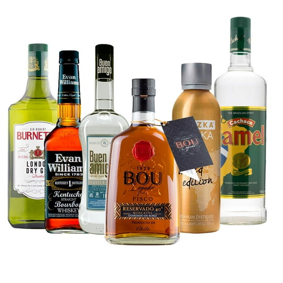 Caja x6 botellas mix destilados