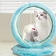 thumbnail image 2 of Rascador Forma De Cueva Para Gatos + Juguete Mascota Lau, 2 of 3