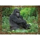 thumbnail image 4 of Puzzle Gorila (100 Piezas) - Toyng, 4 of 4
