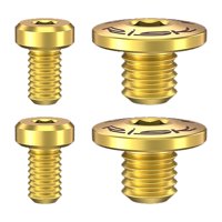 Magideal - 4 Tornillos De Palanca De Freno De Bicicleta, Herramienta De Tornillos De Cubierta De Cilindro De Aceite De Bicicleta, Reparación De Tornillos De Tapa Oro