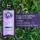 thumbnail image 5 of Shampoo Herbal Essences Lavanda & Aceite de Almendras, 600 ml, 5 of 6