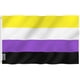 thumbnail image 1 of Bandera Anley Fly Breeze Non-Binary Pride, 90 x 150 cm, poliéster, 1 of 6