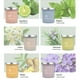 thumbnail image 2 of Velas Aromáticas ZHENG Sensa Serie 150g Aromas Ambiental Equilibrio, 2 of 3