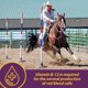 thumbnail image 3 of Suplemento Vita B-12 Crumbles de Horse Health, 1,4 kg, 48 días, 3 of 7