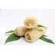 thumbnail image 2 of Estropajo vegetal grande de lufa natural para cocina, baño, exfoliante corporal, ducha, lufa, lufa, celulosa, biodegradable, compostable, cero residuos., 2 of 5