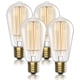 thumbnail image 1 of Bombillas HUDSON BULB CO. Edison incandescente vintage de 60 W, 1 of 7