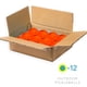 thumbnail image 2 of Pickleballs Franklin Sports X-40 Outdoor, paquete de 12 unidades, 2 of 9