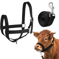 Xusx111 - Halter De Caballo De Nylon Ajustable Para Mini Halter De Caballo | Pequeño Y Cómodo Halter De Caballo Con Hebillas Resistentes - Negro -