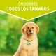thumbnail image 3 of Sachet Dog Chow Cachorro Pollo 20 Un., 3 of 8