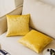 thumbnail image 2 of Cubiertas de almohada de terciopelo 18x18 pulgadas, paquete de 2 - Casos de cojines cuadrados decorativos dorados, súper suaves Decoración del hogar de lujo moderna para sofá, sofá, cama, si, 2 of 3