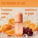 thumbnail image 3 of Spray corporal MeguStame Orange & Grape para mujer 100 ml, 3 of 8