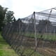 thumbnail image 2 of Malla Antigranizo 7x100M, 2 of 2