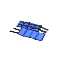 Genérico - 2 Pesas Tobilleras Muñecas Brazo Pierna 1 Kg En Total, Color Negro