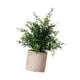 thumbnail image 2 of Mini Planta Falsa En Maceta, Regalo De Inauguración De La Casa, Decoración Para El Hogar, Dormitorio, Balcón, Estilo B, 2 of 5