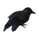 thumbnail image 2 of Cuervos Negros Falsos Artificiales, Decoración De Cuervos Emplumados Para Balcón, Patio, Césped, Estilo C, 2 of 5