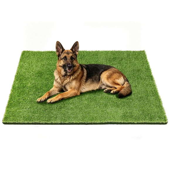 Alfombra para mascotas Yinoos 150 cm x 91 cm de césped artificial