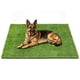 thumbnail image 1 of Alfombra para mascotas Yinoos 150 cm x 91 cm de césped artificial, 1 of 9
