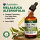 thumbnail image 3 of Aceite esencial KUKKA Tea Tree 120 ml para cabello, piel y aromaterapia, 3 of 8