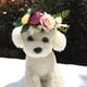 thumbnail image 5 of Diadema de flores para perro, corona de flores para mascotas, tocado de flores, hojas naturales, corona para perros y gatos, decoración de boda, 5 of 5