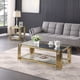 thumbnail image 1 of Woker Furniture 48" Wide Rectangular Coffee Table with Glass Top, Golden Stainless Steel Double-Layer Coffee Table for Living Room, 1 of 3